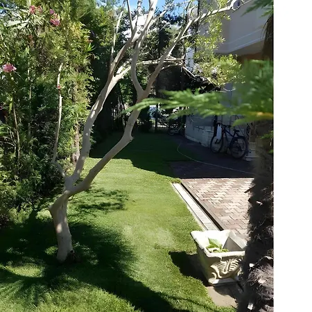 بيت للعطل Seasons 2, Kompleksi Dielli *